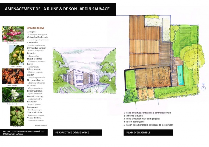 Ramnagement d'une maison & d'une ruine attenante : Projet jardin